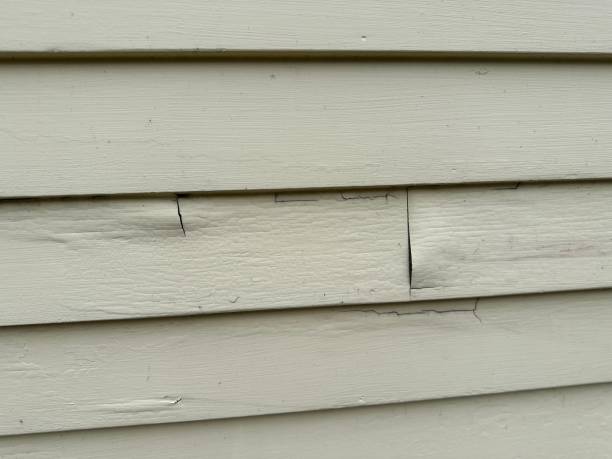 Best Vinyl Siding Installation  in USA